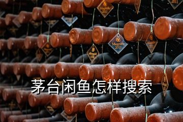 茅臺(tái)閑魚(yú)怎樣搜索