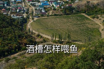 酒槽怎樣喂魚(yú)