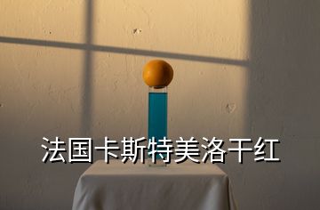 法國(guó)卡斯特美洛干紅