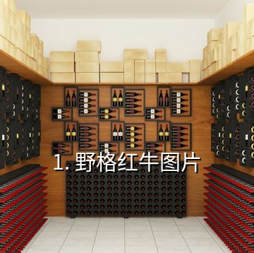 1. 野格紅牛圖片
