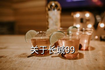 關于長城99