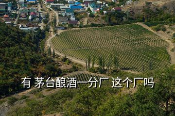 有 茅臺釀酒一分廠 這個廠嗎