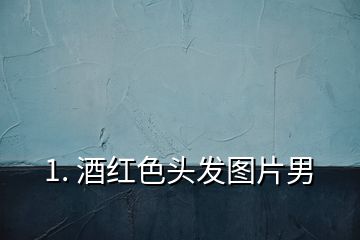 1. 酒紅色頭發(fā)圖片男