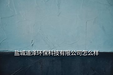 鹽城道澤環(huán)?？萍加邢薰驹趺礃?></p>
<h2 id=