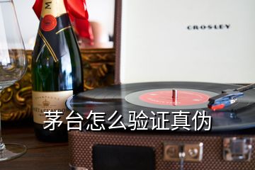 茅臺(tái)怎么驗(yàn)證真?zhèn)?></p>
<h2 id=