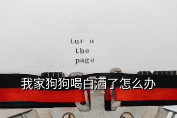 我家狗狗喝白酒了怎么辦