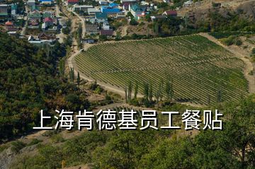 上?？系禄鶈T工餐貼