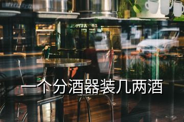 一個(gè)分酒器裝幾兩酒