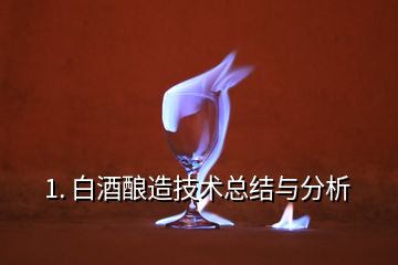 1. 白酒釀造技術總結(jié)與分析