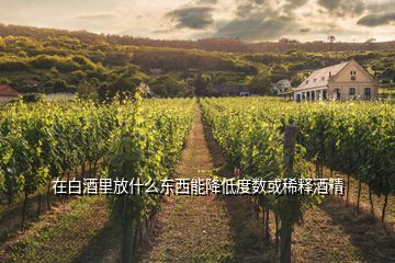 在白酒里放什么東西能降低度數(shù)或稀釋酒精