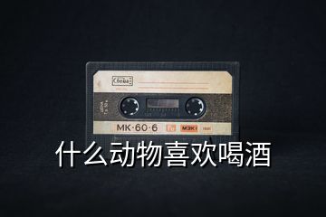 什么動(dòng)物喜歡喝酒