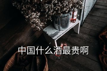 中國(guó)什么酒最貴啊