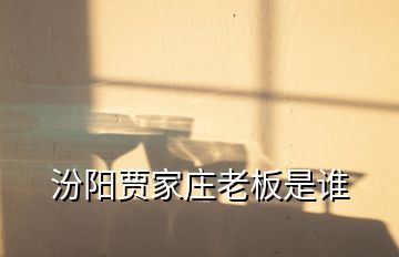 汾陽賈家莊老板是誰