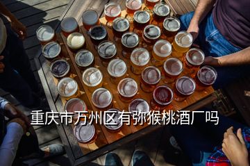 重慶市萬州區(qū)有彌猴桃酒廠嗎