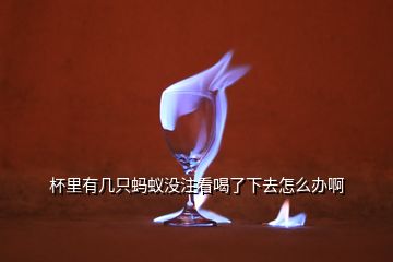 杯里有幾只螞蟻沒(méi)注看喝了下去怎么辦啊