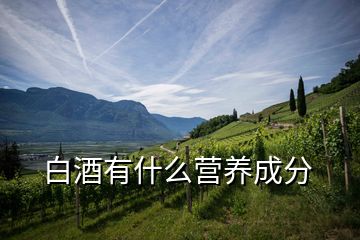 白酒有什么營(yíng)養(yǎng)成分