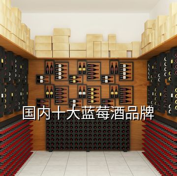 國內(nèi)十大藍莓酒品牌
