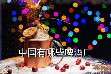 中國有哪些啤酒廠