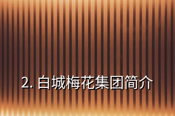 2. 白城梅花集團(tuán)簡(jiǎn)介