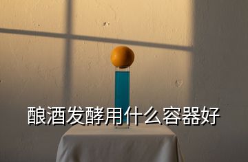 釀酒發(fā)酵用什么容器好