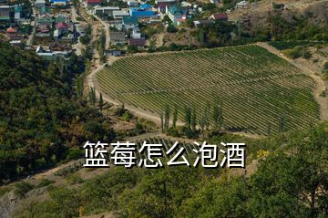 籃莓怎么泡酒