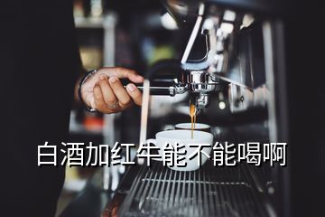 白酒加紅牛能不能喝啊
