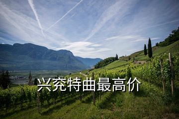 興兗特曲最高價(jià)