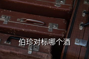 伯珍對(duì)標(biāo)哪個(gè)酒