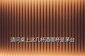 請(qǐng)問(wèn)桌上這幾杯酒哪杯是茅臺(tái)