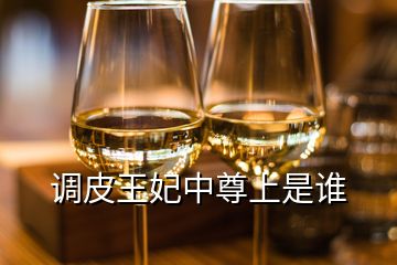 調(diào)皮王妃中尊上是誰