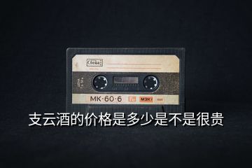 支云酒的價格是多少是不是很貴