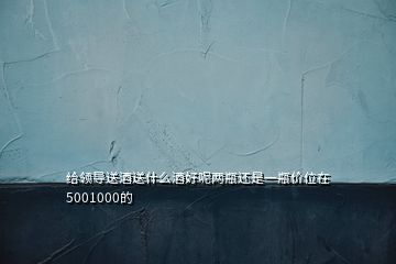 給領(lǐng)導(dǎo)送酒送什么酒好呢兩瓶還是一瓶?jī)r(jià)位在5001000的