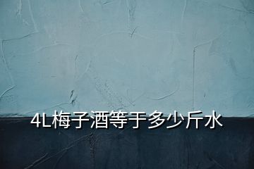 4L梅子酒等于多少斤水