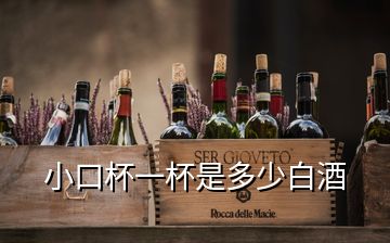 小口杯一杯是多少白酒