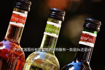 瀘州老窖股份有限公司瀘州特釀?dòng)幸豢钍?k還是k9
