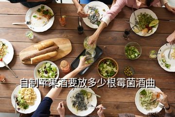自制蘋果酒要放多少根霉菌酒曲