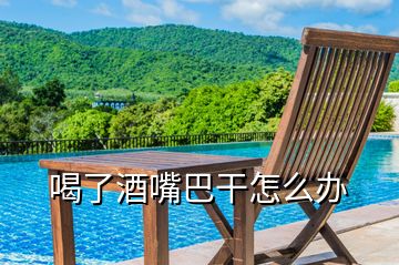 喝了酒嘴巴干怎么辦
