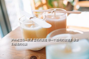 瀘州老窖有一款酒 藍(lán)色的瓷瓶 帶一個(gè)透明的玻璃罩 很像五糧液的包裝