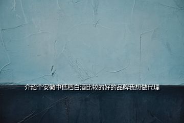 介紹個安徽中低檔白酒比較的好的品牌我想做代理