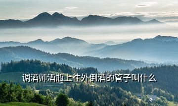 調酒師酒瓶上往外倒酒的管子叫什么