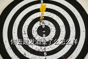 你去建發(fā)酒業(yè)了么怎么樣