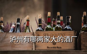 瀘州有哪兩家大的酒廠
