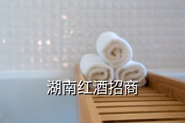 湖南紅酒招商