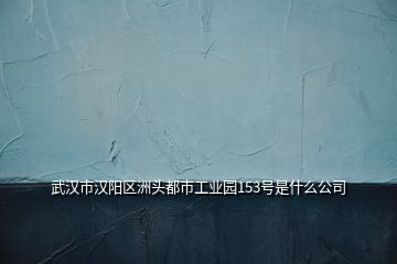 武漢市漢陽區(qū)洲頭都市工業(yè)園153號(hào)是什么公司