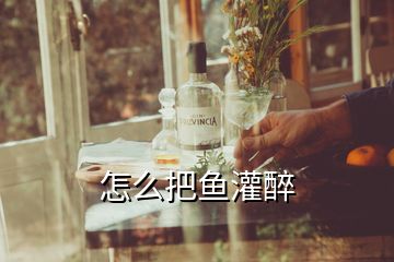怎么把魚(yú)灌醉