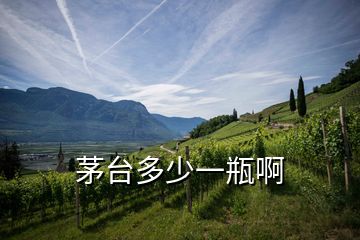 茅臺多少一瓶啊