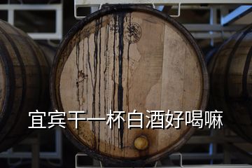 宜賓干一杯白酒好喝嘛
