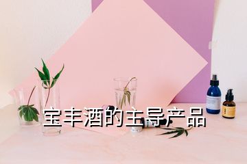 寶豐酒的主導產品