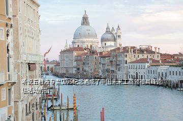 聽說五糧液專賣店95紀念酒成了中國未來工商領(lǐng)袖高峰論壇活動的指