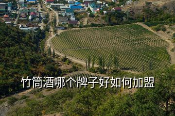 竹筒酒哪個牌子好如何加盟